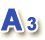 A3